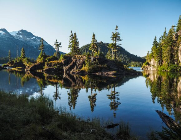 Finding Serenity in Nature: How Vancouver Island Changed My Perspective