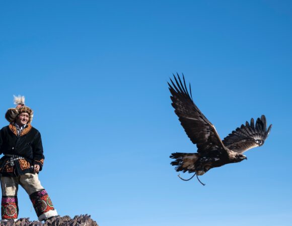 Wildlife encounters in Mongolia: Spotting endangered species on your trip