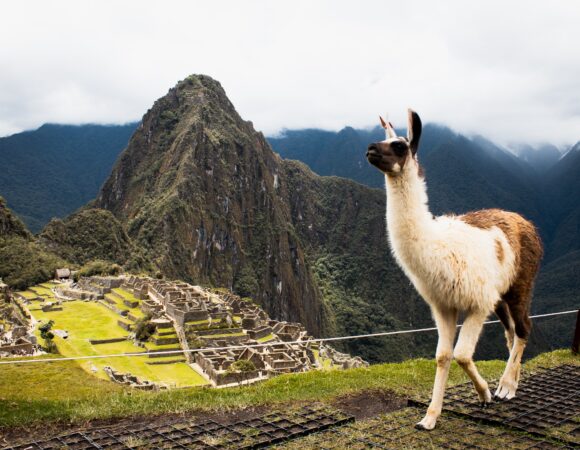 Discovering Hidden Gems: A Detailed Travel Guide for Families Visiting Peru