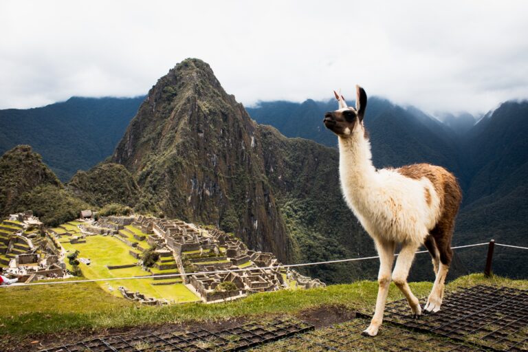 Discovering Hidden Gems: A Detailed Travel Guide for Families Visiting Peru