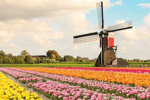 From Windmills to Canals: Must-Try Tours and Activities in the Netherlands with GetYourGuide