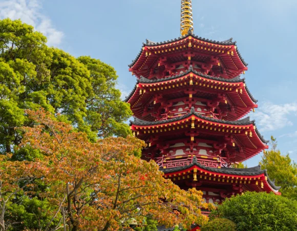 From Tokyo to Kyoto: Seamless Booking Experience via Expedia Japan