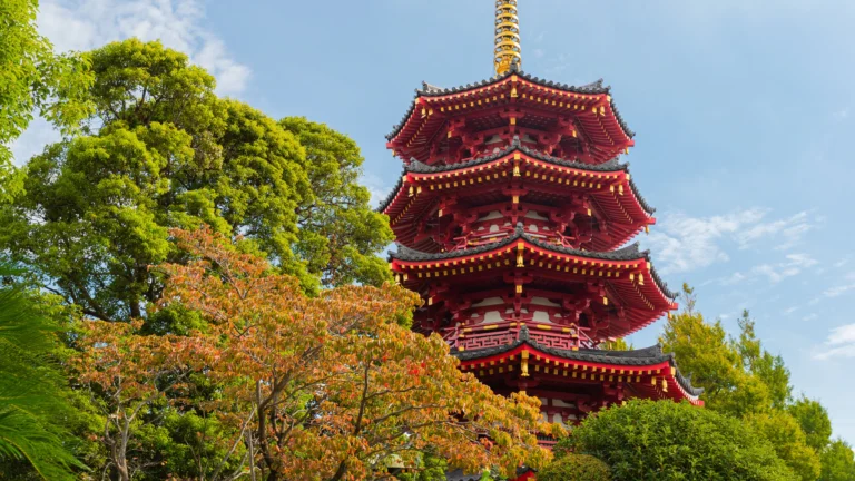 From Tokyo to Kyoto: Seamless Booking Experience via Expedia Japan